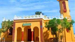 الأوقاف: افتتاح 41 مسجدًا الجمعة...