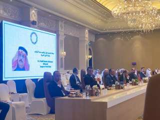 الجامعة العربية تشارك في الاجتماع...