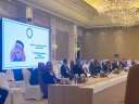 الجامعة العربية تشارك في الاجتماع...