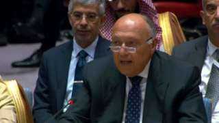 شكري يبحث مع أمين الأمم...
