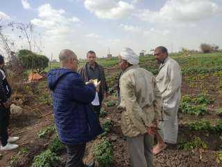 الزراعة تتابع زراعات الخضر وتراخيص...