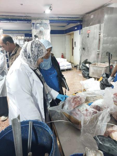 ضبط ٩ طن لحوم ودواجن وأسماك مجهولة المصدر وغير صالحة للإستهلاك الآدمي بمراكز محافظة الشرقية