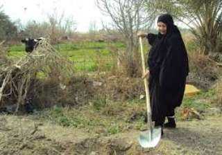 «البحوث الزراعية» يطلق مبادرة لتنمية...