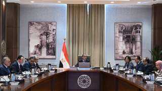 مدبولى  يستعرض عددًا من...