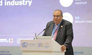 محيي الدين:النظام المالي العالمي غير...