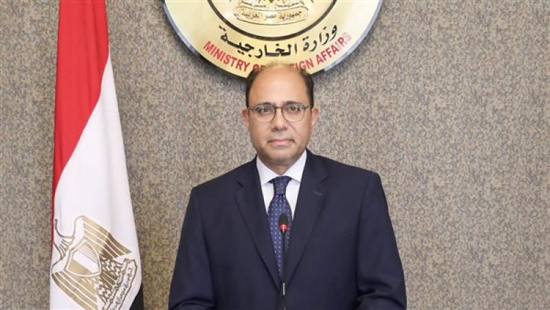 المتحدث الرسمي باسم وزارة الخارجية السفير أحمد أبو زيد