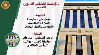 وزارة العمل  : 75...