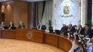 400 جنيه زيادة للأردب.. الحكومة...