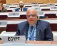 مندوب مصر بجنيف: الوضع في...