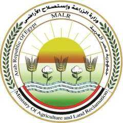 وزارة الزراعة تنفى وجود فيروس...