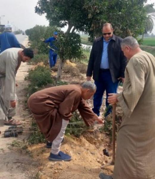 جهود الوحدة المحلية لمركز ومدينة الواسطى في ملفات النظافة والتجميل وتحسين مستوى الخدمات