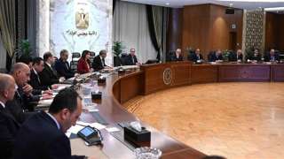 مدبولي: تدبير موارد النقد الأجنبي...