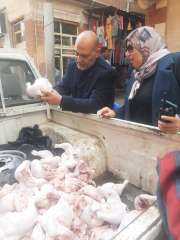 محافظ المنوفية: ضبط 750كجم لحوم...