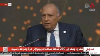 شكري: الأزمة في غزة تصدرت...