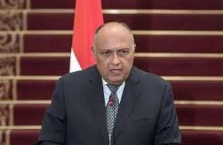 وزير الخارجية: الدول العربية تعمل...