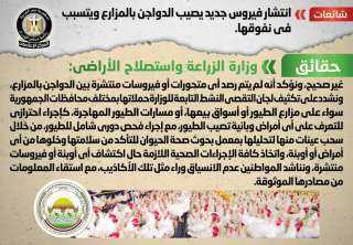 الحكومة تنفى انتشار فيروس جديد...