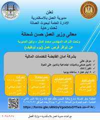 وزارة العمل : فرص عمل...