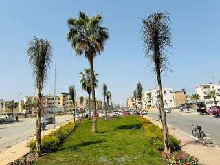 محافظ بورسعيد : استمرار أعمال...