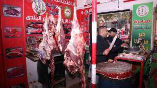 الزراعة تطرح اللحوم في منافذها...