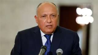 شكري يستقبل نائب رئيس الوزراء...