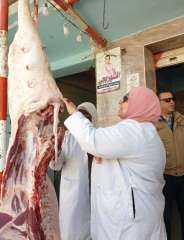 ضبط  طن لحوم ومصنعات...