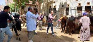 بيطري المنيا: تقديم الخدمات البيطرية...