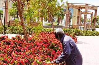 بناءاً على تعليمات محافظ أسوان...