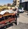 محافظ المنيا: استمرار الحملات المكثفة...