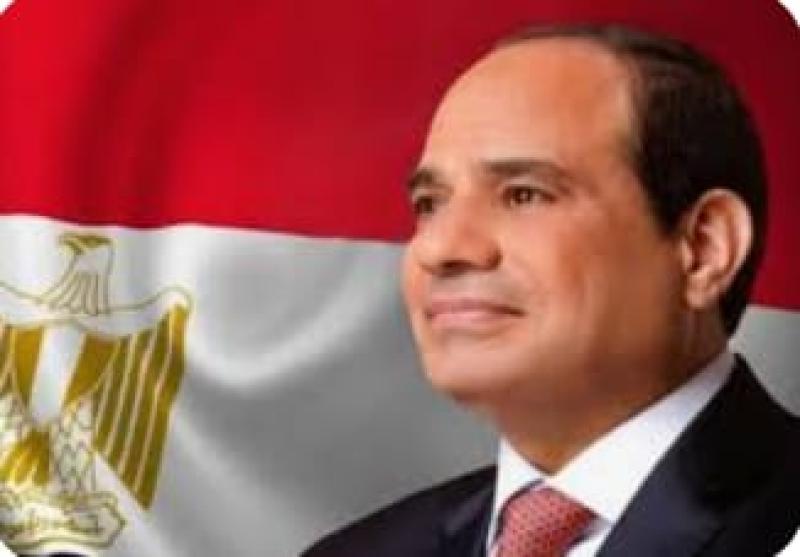 الرئيس السيسى