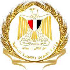 بالمستندات.. الجريدة الرسمية تنشر قرارا...