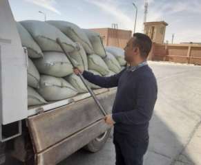محافظ المنيا يعلن بدء موسم...