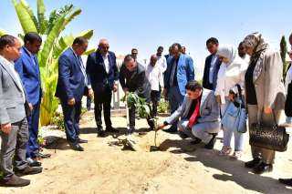 بحضور نائب محافظ الأقصر.. انطلاق...