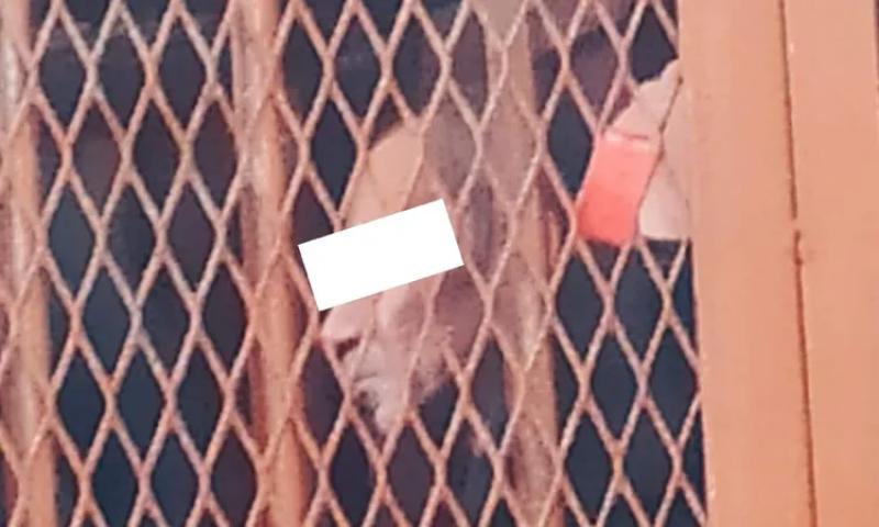إحالة أوراق 3 متهمين بقتل شخص في بورسعيد إلى المفتي
