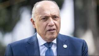 سامح شكرى: نهدف إلى الارتقاء...