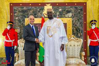 السفير المصري في كوناكري يقدم...
