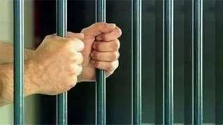 حبس عاطلين لسرقتهما 500 بطة...