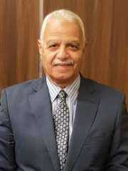 الدويرى: تحرير سيناء ذكرى ينحنى...