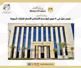 وزارة العمل  : فرص...