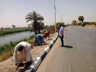 زراعة 100 شجرة على طريق...