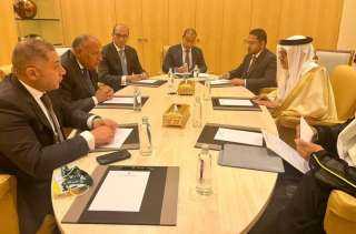 وزير الخارجية سامح شكري يلتقي...