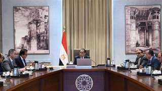 رئيس الوزراء يتابع مع وزير...