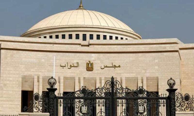 مجلس النواب الجديد