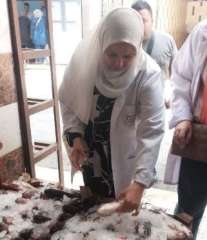 بيطري الشرقية يضبط ٤ طن...