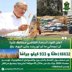 شون وصوامع المنيا تستقبل 146...