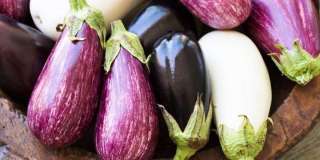 فوائد الباذنجان المذهلة لصحتك
