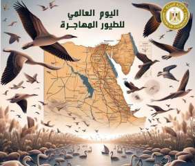 وزيرة البيئة تعلن مشاركة مصر...
