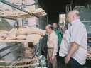 تموين المنيا يضبط 167 مخالفة...