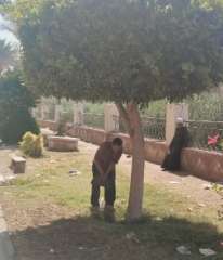 جهود الوحدة المحلية لمركز ومدينة...