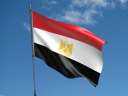 مصدر رفيع المستوى: مصر لن...