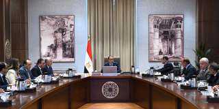 رئيس الوزراء يلتقي أعضاء المجلس...